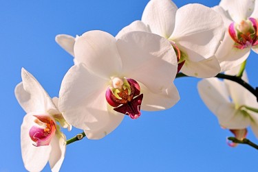 上海虹口区空放急用钱贷款|生意借钱周转|上海虹口区急用钱个人贷款